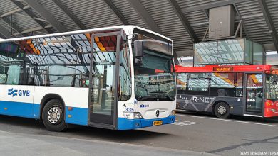 amsterdam buses