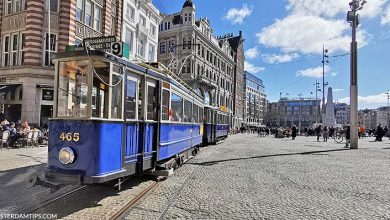 amsterdam historic tram (cheap to do ideas)