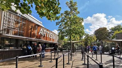 artis amsterdam