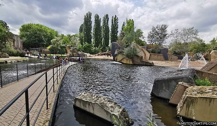 artis zoo amsterdam