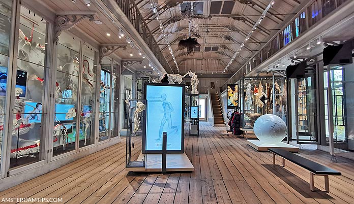 groote museum artis amsterdam