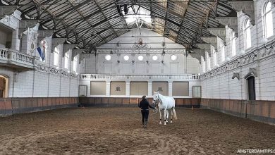 hollandsche manege living horse museum amsterdam