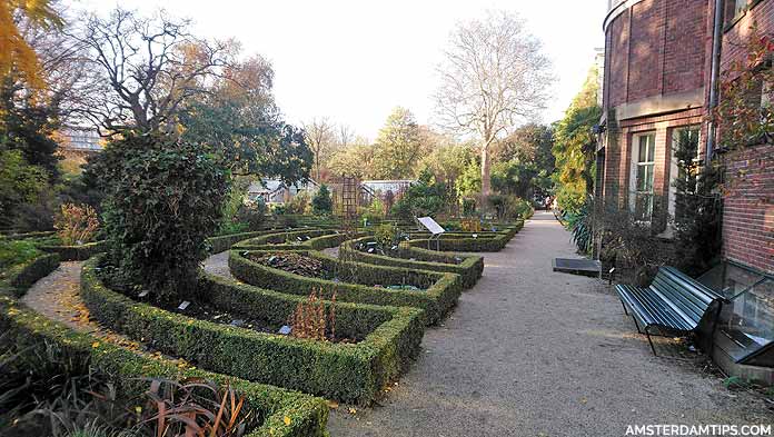 hortus botanical gardens amsterdam