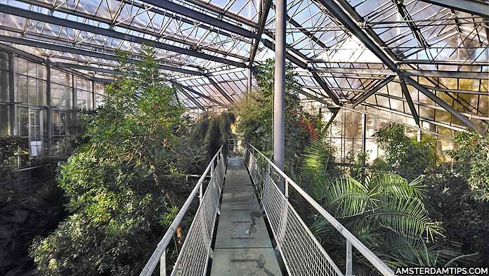 hortus botanicus greenhouse amsterdam