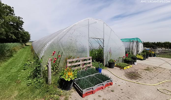 novalishoeve organic farm texel greenhouse