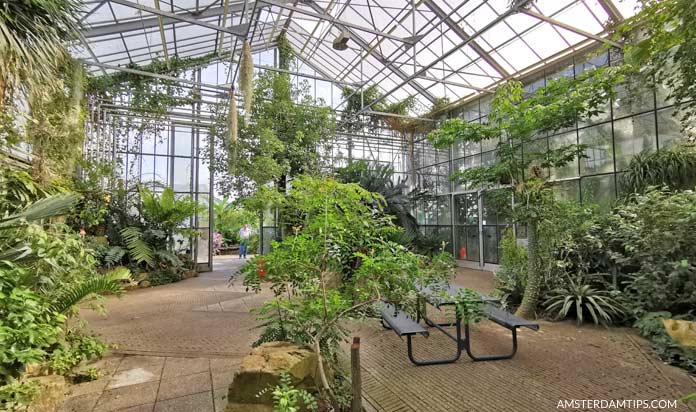 utrecht botanic gardens tropical greenhouse