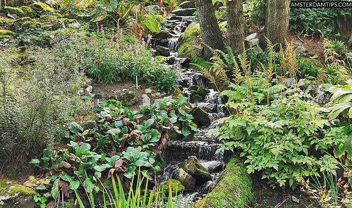 utrecht botanic gardens waterfall