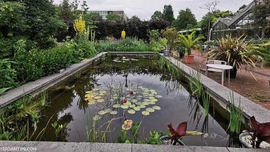 zuidas botanical gardens in amsterdam
