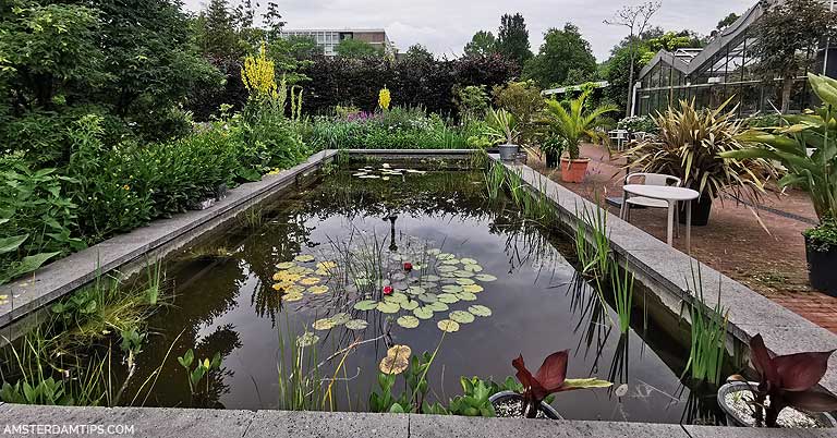 zuidas botanical gardens in amsterdam