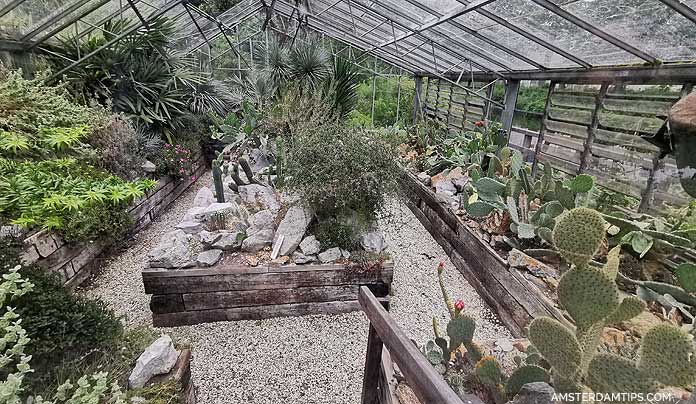 zuidas botanische tuin greenhouse